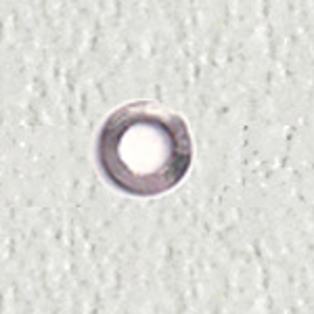 Bild von Unterlegscheiben, Stahl, flach, Loch-Ø 1,45 mm, Außen-Ø 2,50 mm, Höhe 0,2 mm