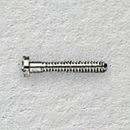 Bild von Scharnier-/Schließblockschrauben, M 1,6, Länge 9,50 mm, Kopf-Ø 2,5 mm, 40 Stück