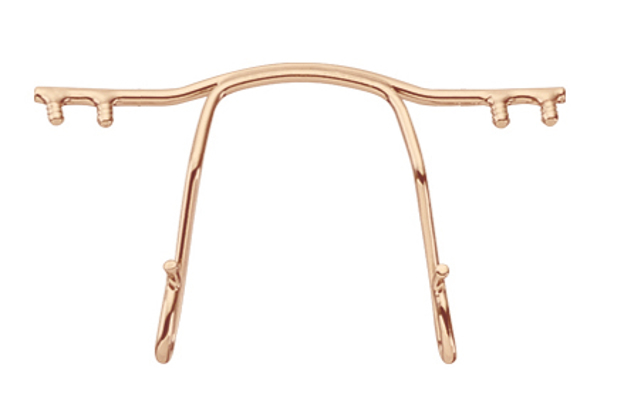 Bild von Titan-Ersatzbrücke für Bohrbrillen, gold matt, Größe 32 mm, 1 Stück