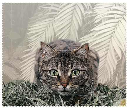 Bild von Macroclean Microfasertuch "Katze", 15 x 18 cm, 100 Stück