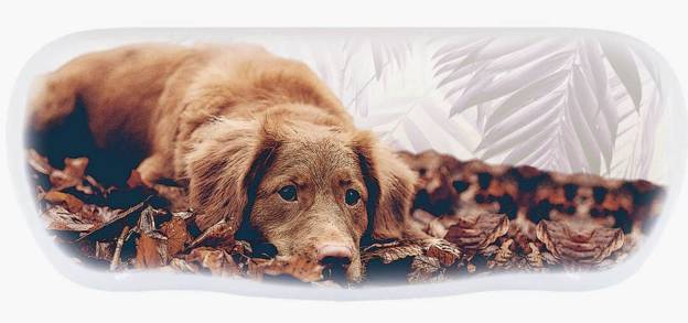 Picture of Alu-Etuis, "Hund", 162 x 66 x 40 mm, 10 Stück