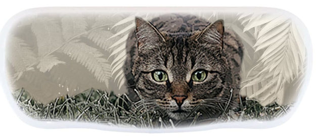 Bild von Alu-Etuis, "Katze", 162 x 66 x 40 mm, 10 Stück
