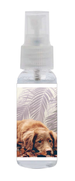 Bild von Sprayclean 30, "Hund", geruchsneutral, 48 Sprühflaschen à 30 ml