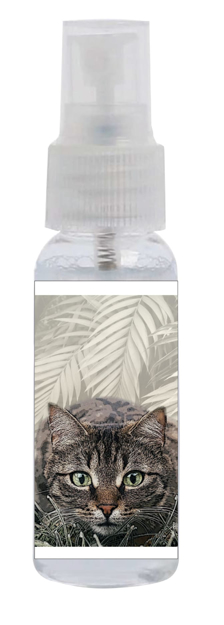 Bild von Sprayclean 30, "Katze", geruchsneutral, 48 Sprühflaschen à 30 ml